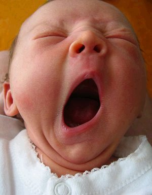 baby-yawn.jpg